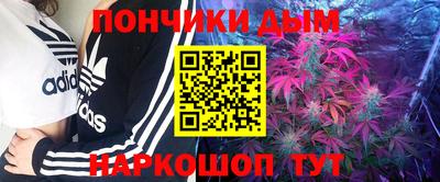 индика Ставрополь