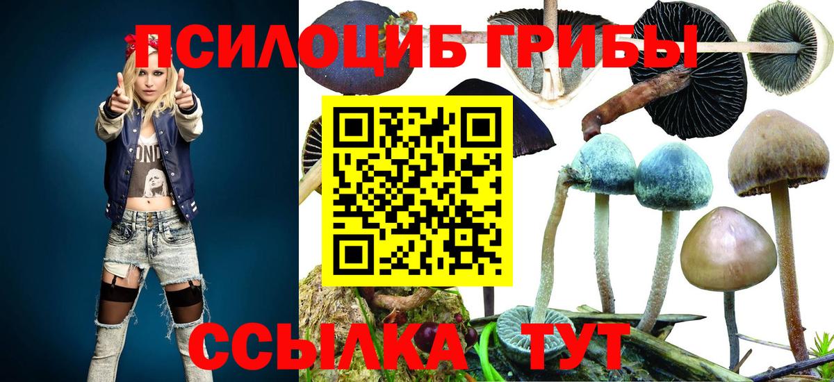Осинники  Галлюциногенные грибы Psilocybine cubensis  Галлюциногенные грибы ЛСД  Вход с VPN 